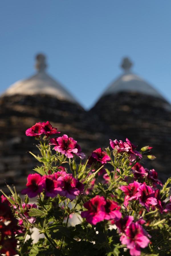 Trulli Ulivi
